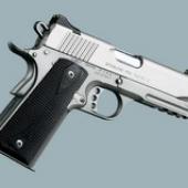 Stainless Pro TLE / RL II - .45 ACP